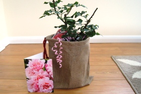 Rose Gift Sets